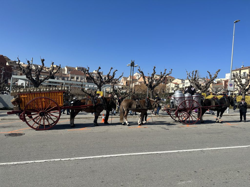 Read more about the article Tres Tombs: a Castellbisbal i Reus